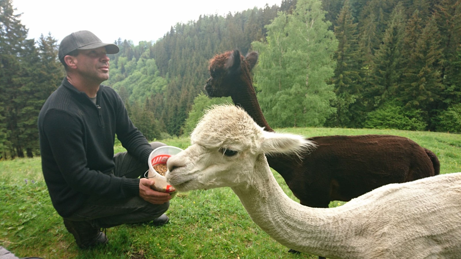 Seit 2019 ist Andreas Unterzaucher Alpakahof-Besitzer mit Leib und Seele.